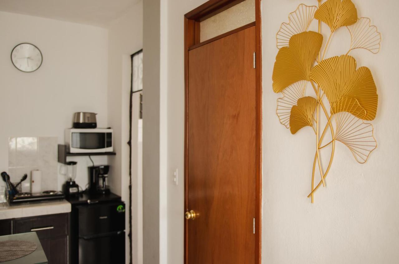 Departamento Orellana 1 Chetumal Kültér fotó